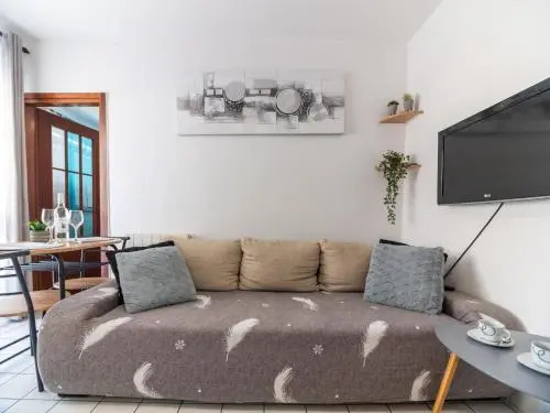Apartment Viki