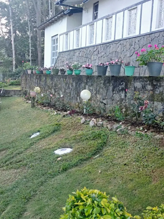 Miselly's Bangalow Hostel