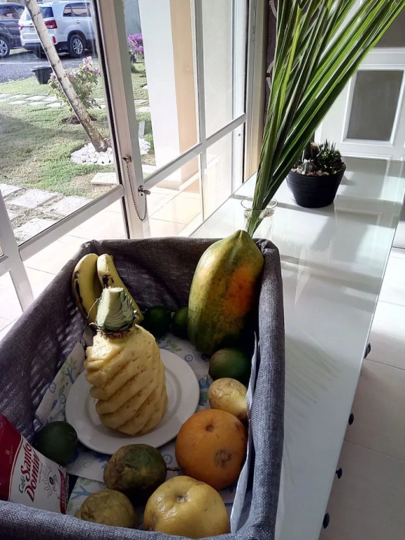 Villa Diane in Bavaro in the Near of Punta Cana