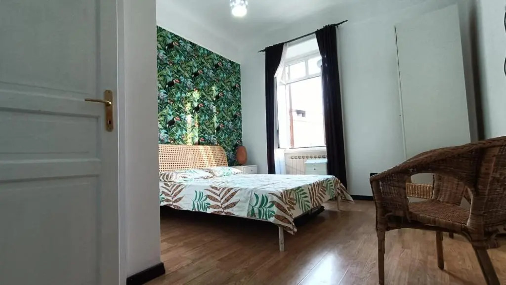 Colosseo Kokedama rooms