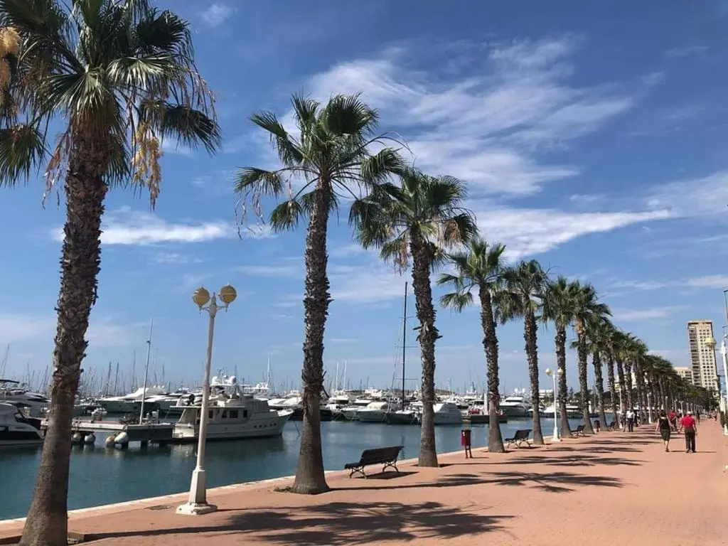 Apartamento Casaturis En El Corazon De Alicante A118