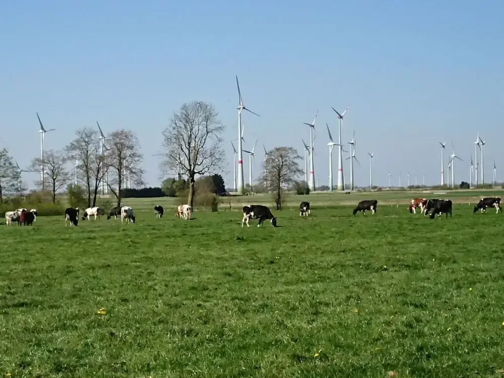 Coastal View of East Frisia