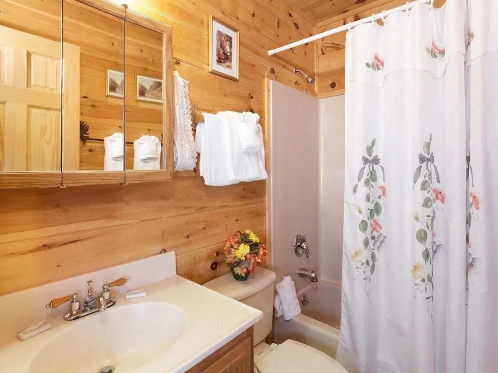 Alpine Ski Lodge