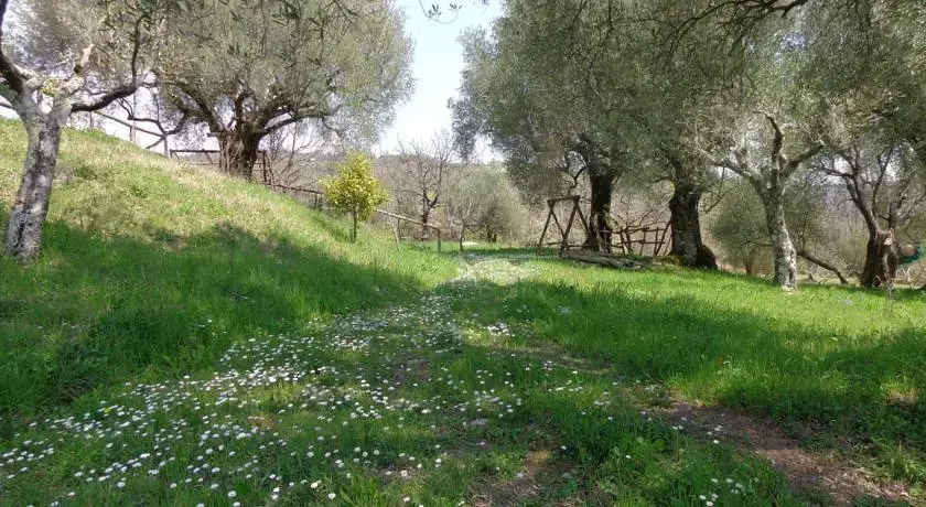 Il Giardino
