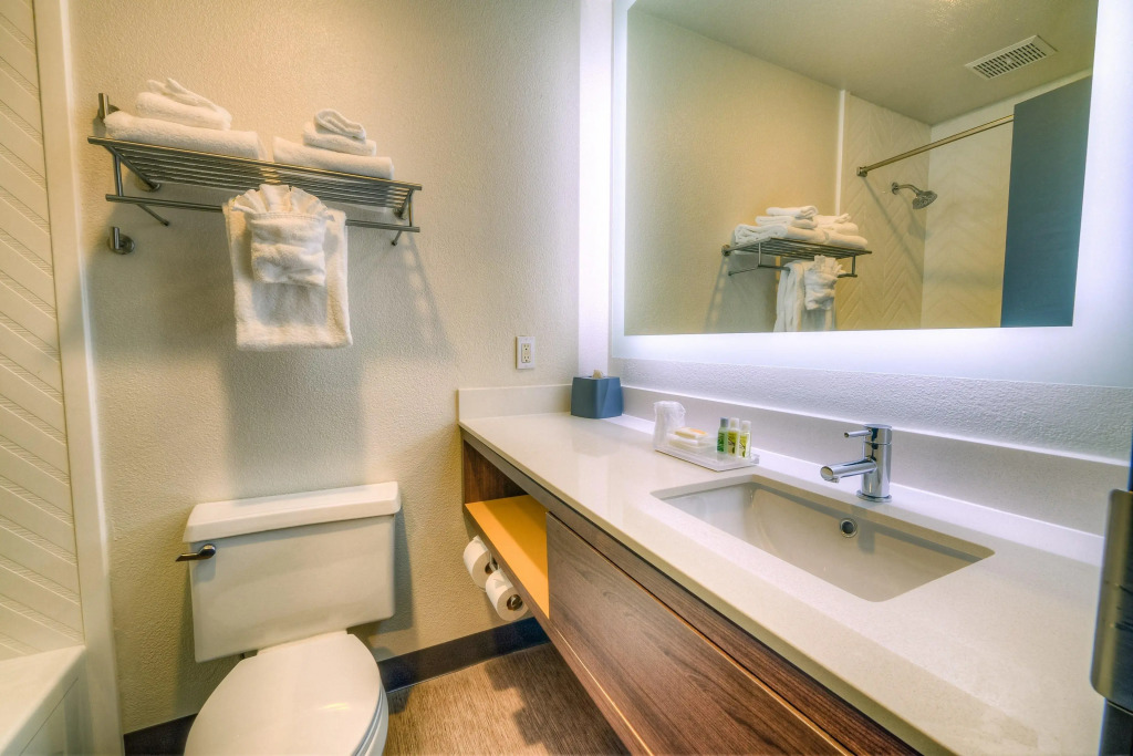 Holiday Inn Tacoma Mall by IHG