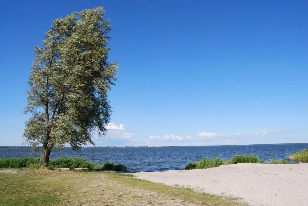 Ferienhaus mit Garten am Bodstedter Bodden