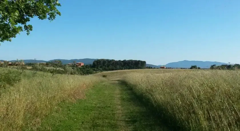 Pelagone