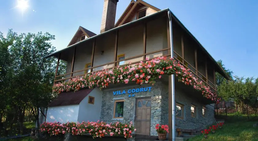 Cabana Codrut