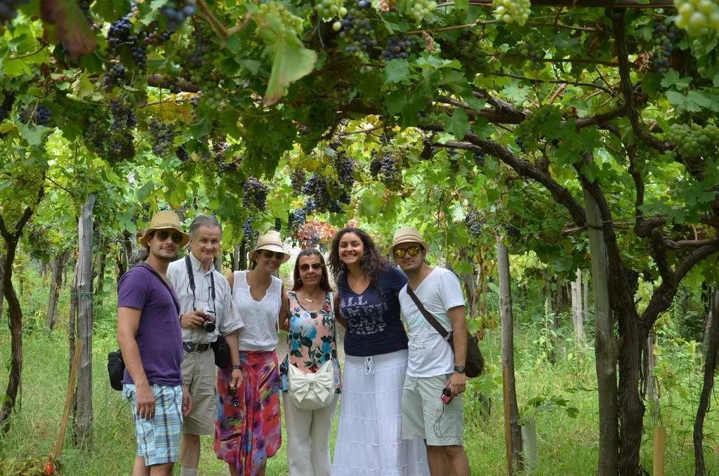 Sorrentino Vini Country House