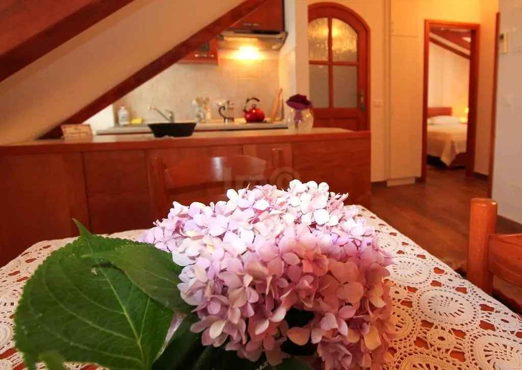 Villa Franka