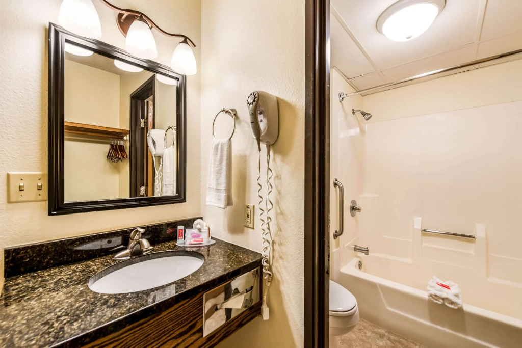Econo Lodge Mayo Clinic Area