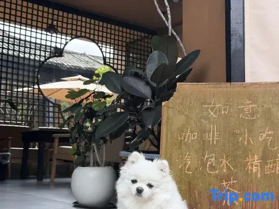 RuYi