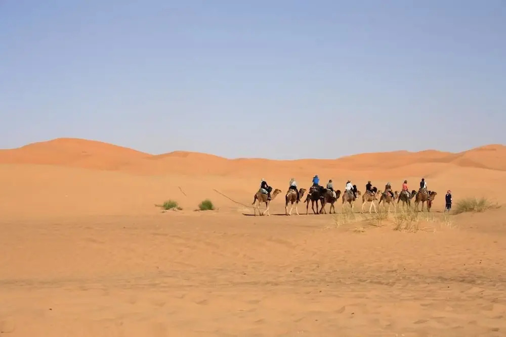 DUNEHOUSE