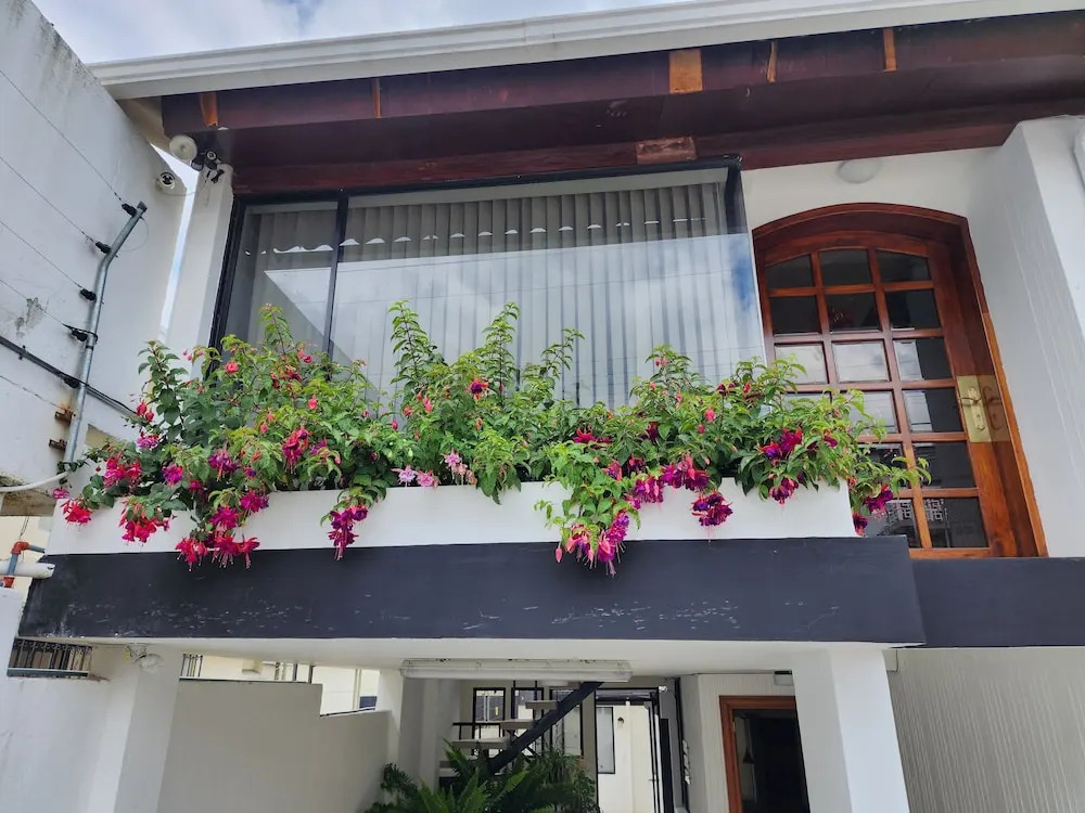 Altamira Apart Suites