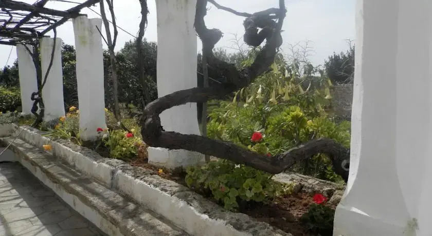 Casolare Muzio B&B