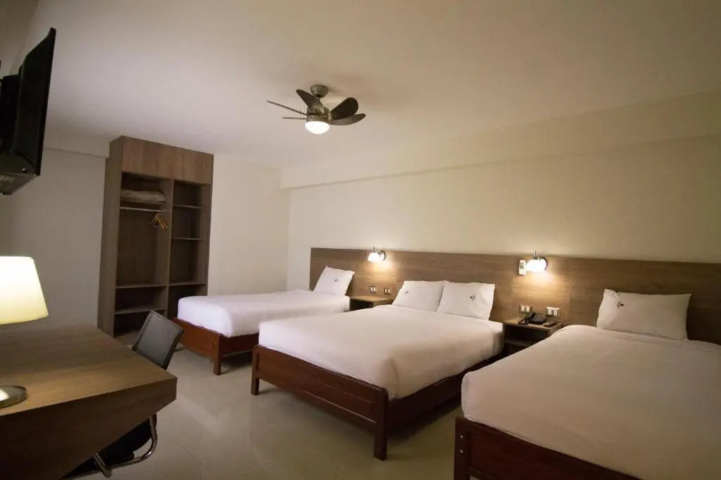 Hotel Alexander