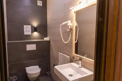 Hotel Emrovic Raj