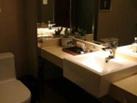 Xiangyang Shanshui Wenjing Hotel