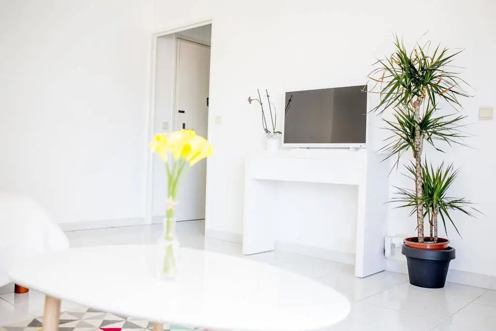 A flat in Cannes