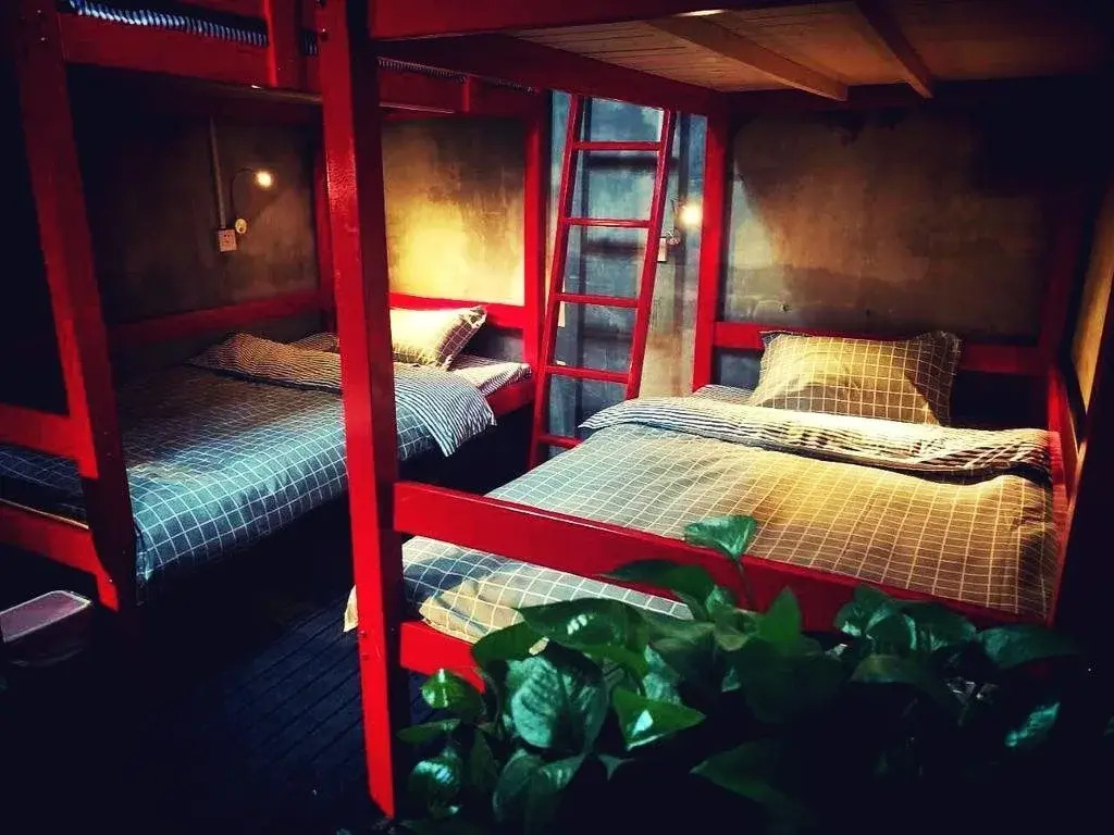 Dog House Young Hostel