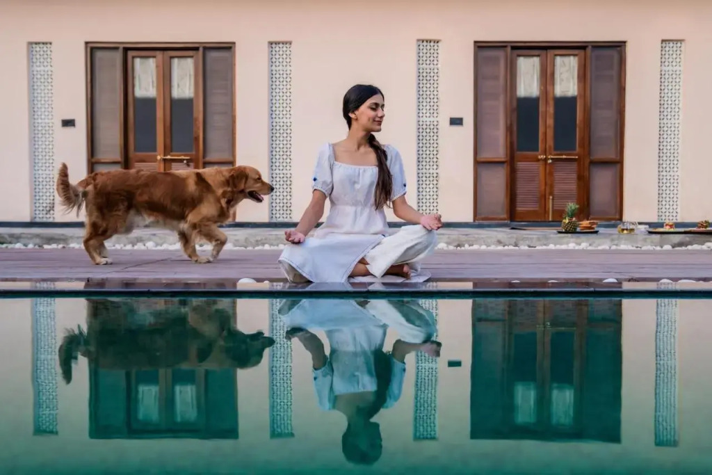 DanCenter Parijat Villas & Suites Udaipur