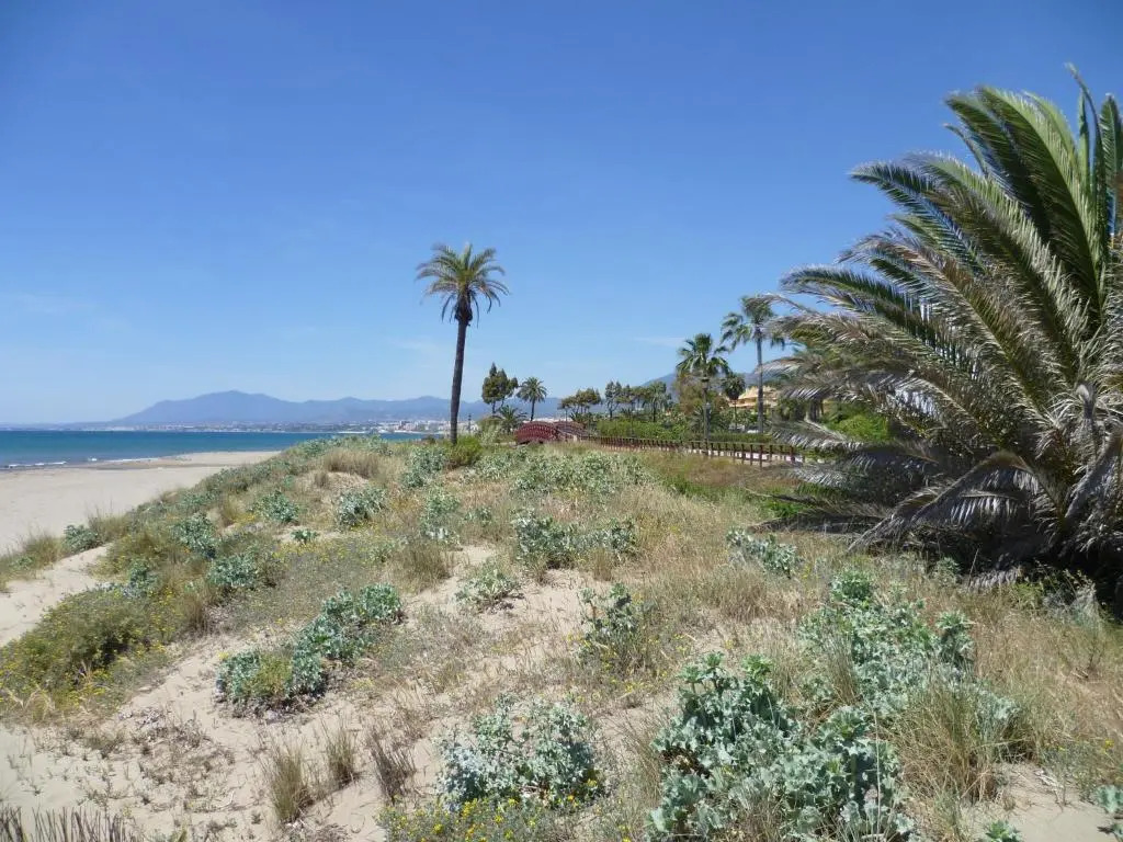 15083- Wonderful Penthouse Los Monteros Beach
