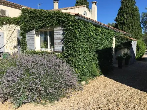 Mas Coeur Provence Calme Beauté Grand Parc