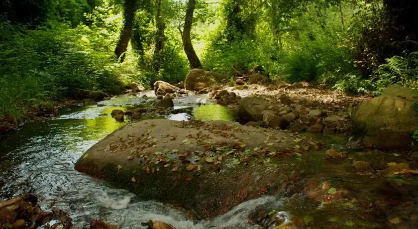 Il Giardino