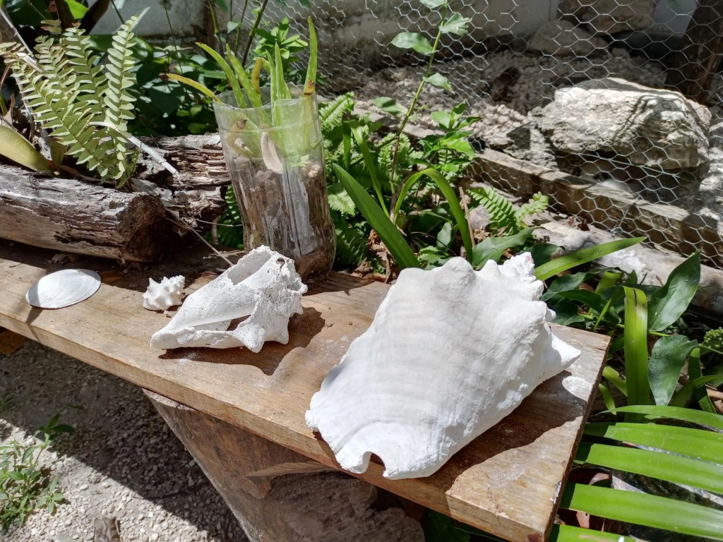 Mi Cuartito en Bacalar