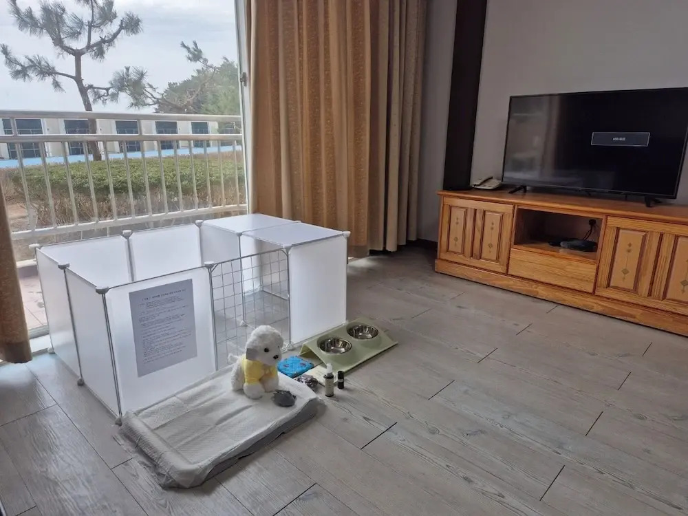 Gumgangsan Condo