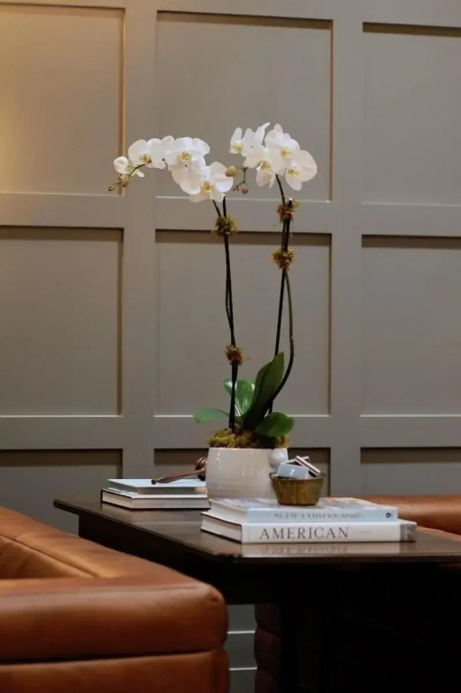 The Thomas Hotel