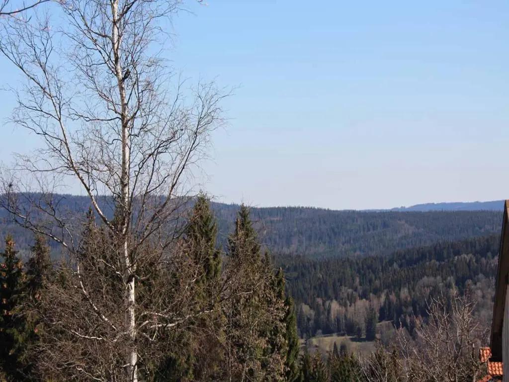 Ferienwohnung Schäfer im Landhaus Almberg App. 11