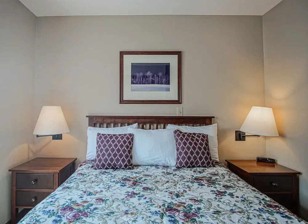 Allegheny Springs 201 : 2 Bedroom, 2 Full Bath: Slope Side; Gas Fireplace