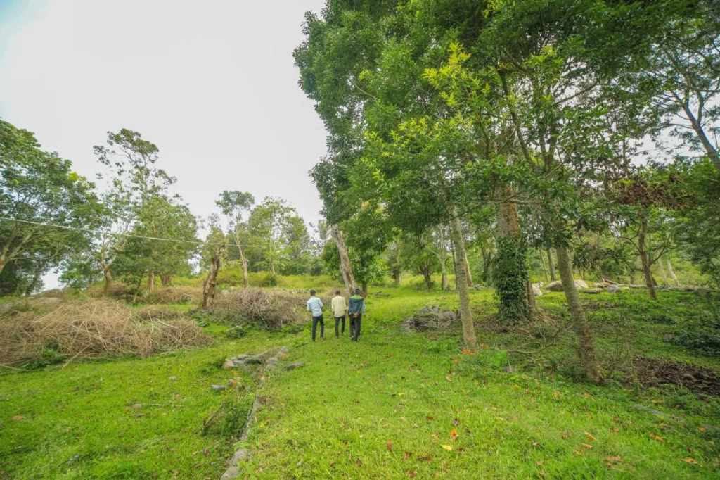 WOW Bison Woods Resort Yercaud