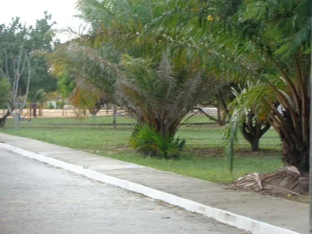 Casa com 3 suítes - Condomínio na Praia de Pipa