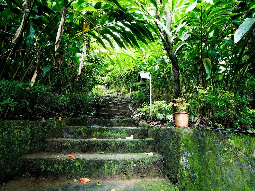Cardamom Plantation Estate