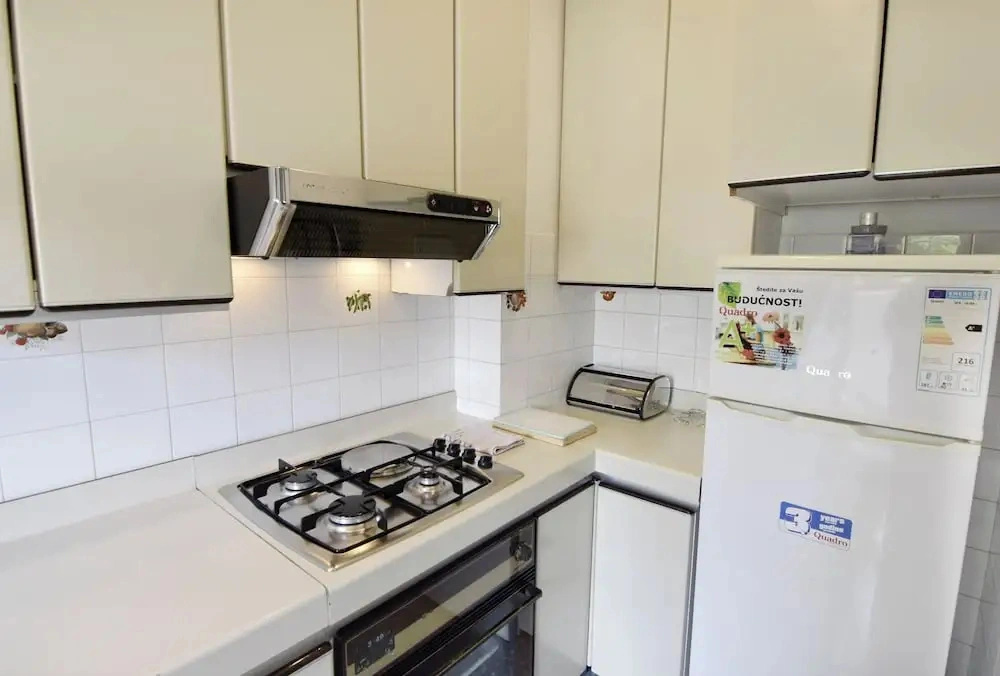 Spacious Apartment in Umag