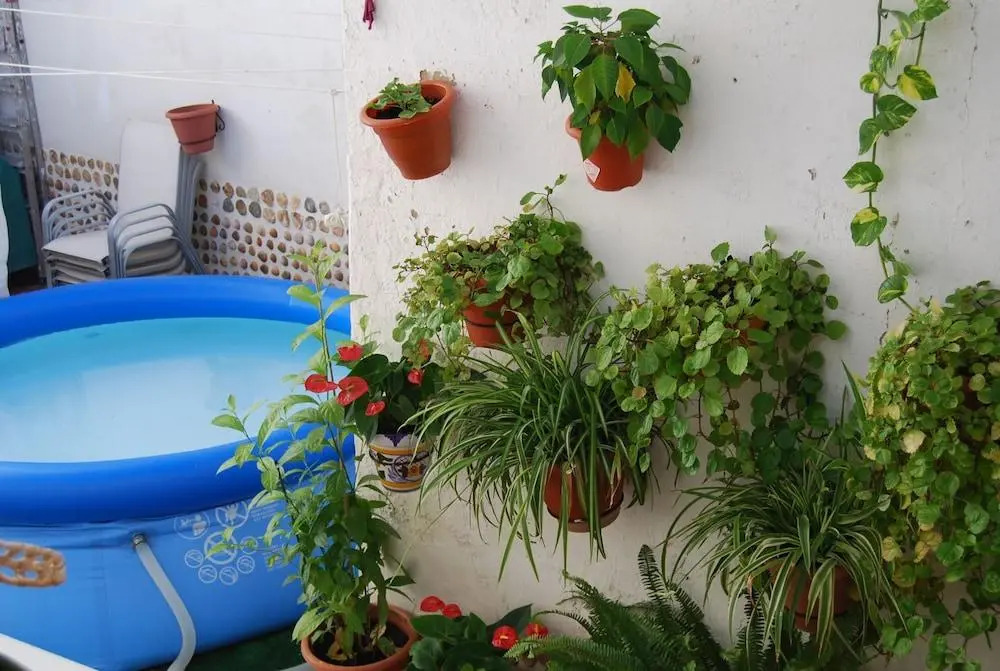 Vivienda Rural El Retorno