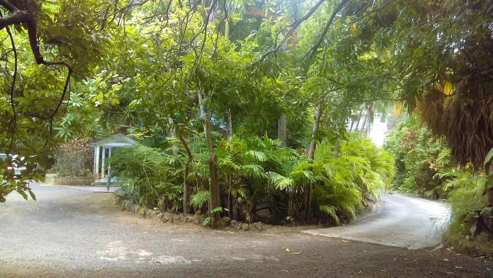 Property With One Bedroom In Pointe Noire With Enclosed Garden And Wifi 900M From The Beach