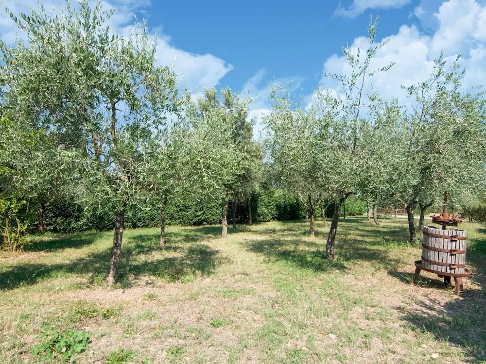 Farmhouse by Lake Trasimeno with Pool