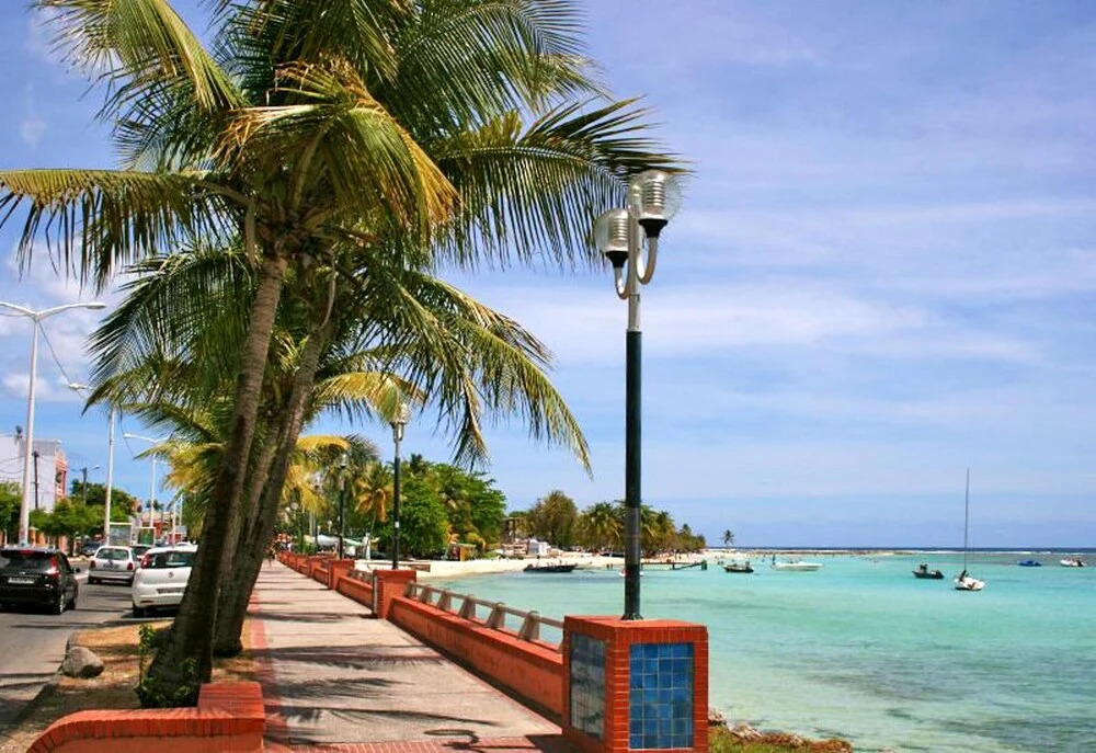 House With 2 Bedrooms In Sainte Anne With Enclosed Garden And Wifi