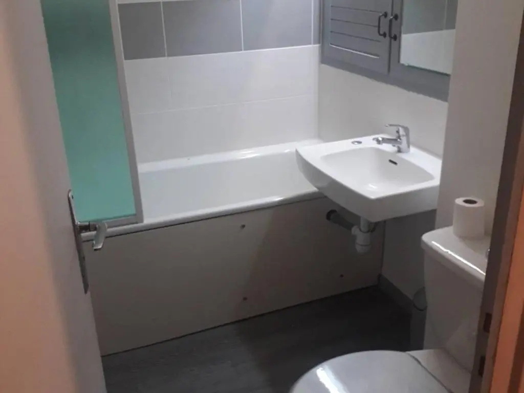 Appartement Arette, 1 pièce, 4 personnes - FR-1-602-14
