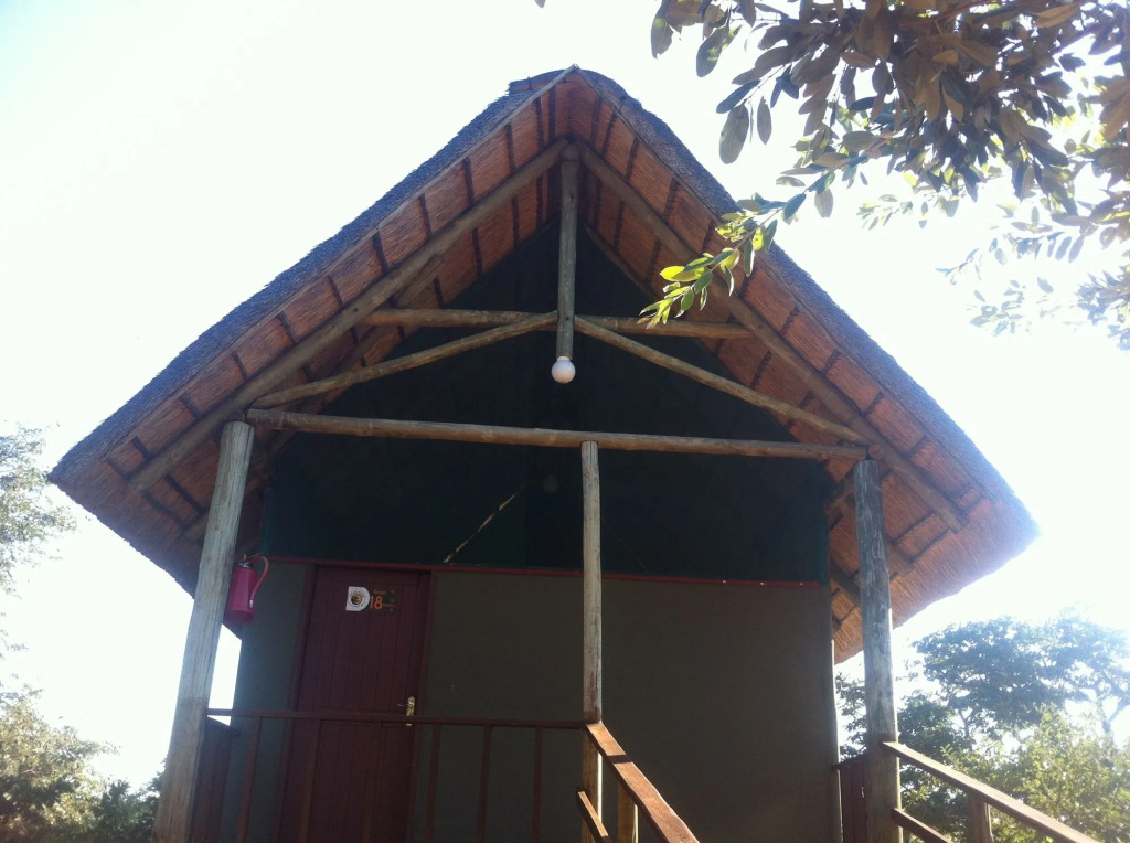 Lion Roars Lodge