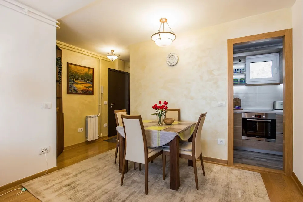 Apartment Downtown Zmaj Jovina