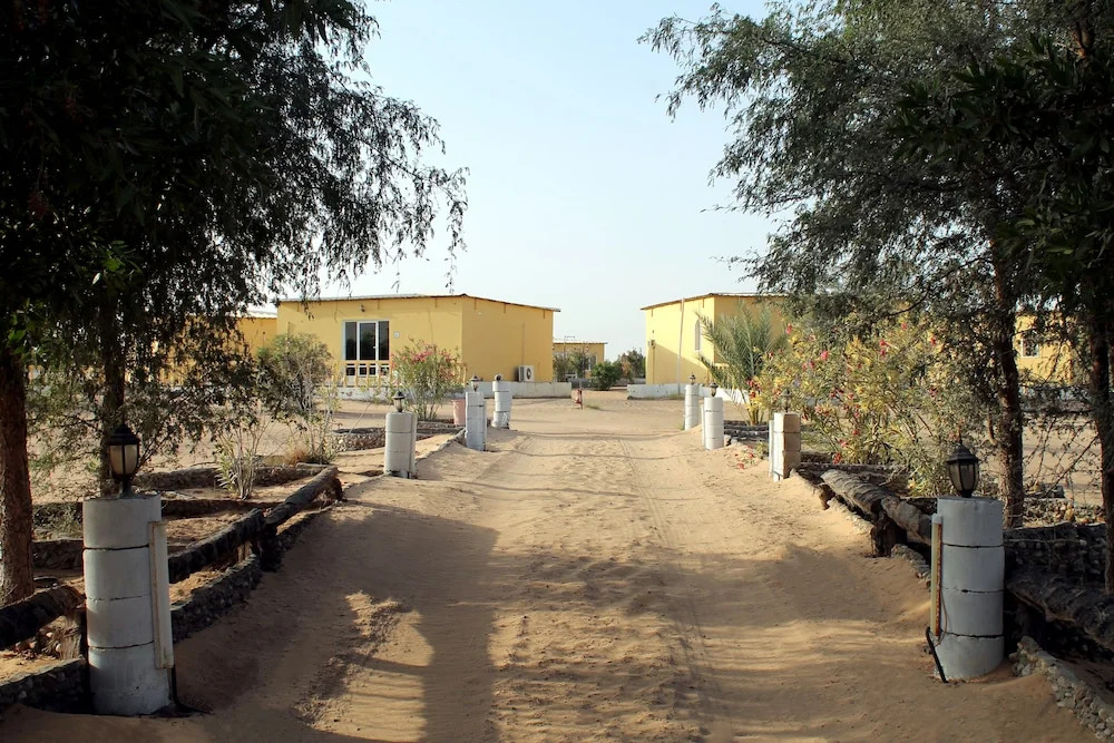 Golden Palm Oasis