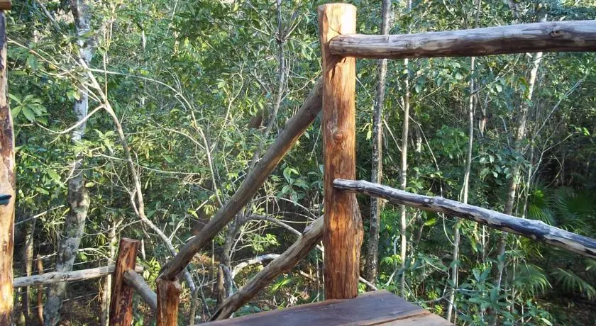 Treetop Palapa