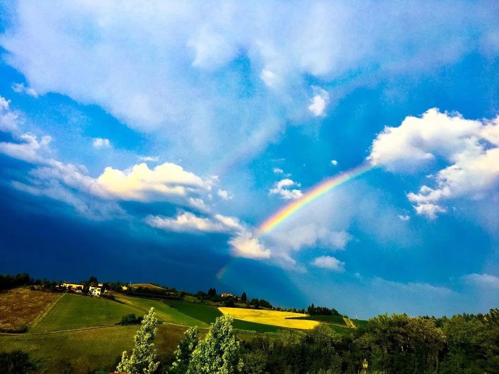 Monferrato Resort