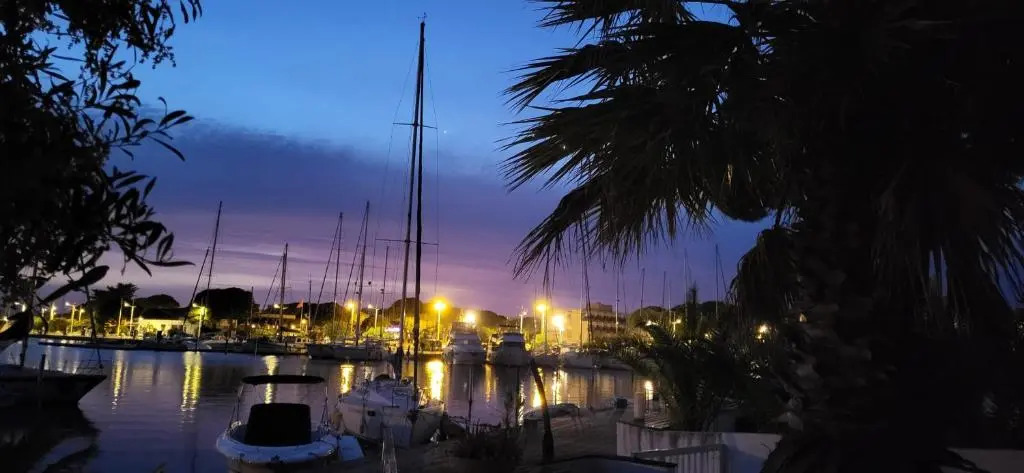 Le Vog the beach 200 m away and the shops at the foot of the Residence