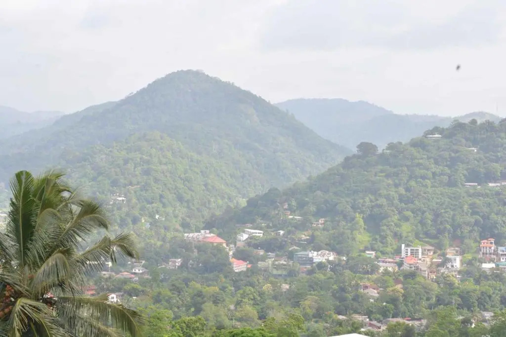 High View Homestay
