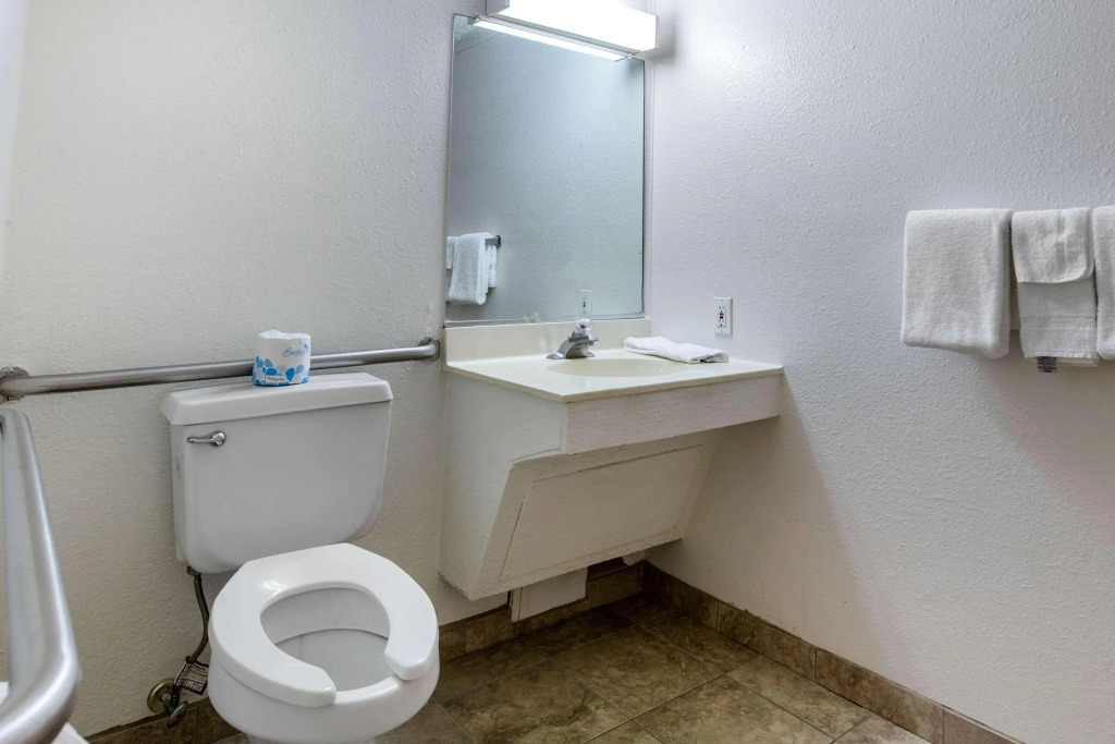Rodeway Inn Auburn Hills - Detroit